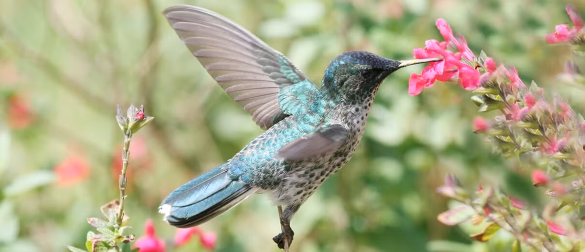 Nguoi sinh ngay Am lich nay dua vao thuc luc cua minh de thanh cong