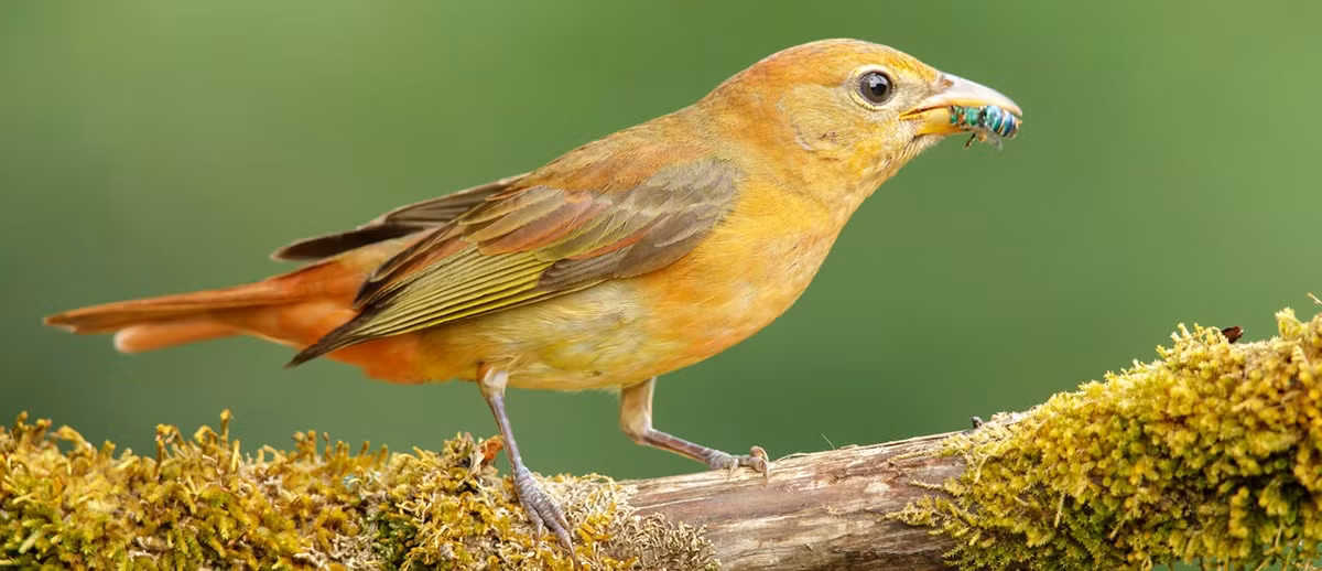 Nguoi sinh ngay Am lich nay dua vao thuc luc cua minh de thanh cong-Hinh-3