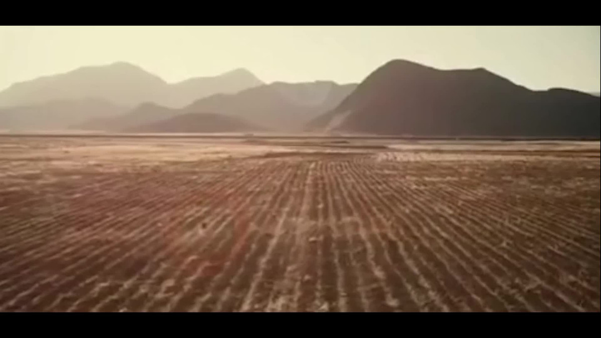 Phát hiện sinh vật bí ẩn sau cái chết của hàng loạt gia súc Phat hien sinh vat bi an sau cai chet cua hang loat gia suc