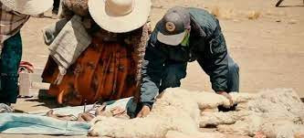 Phát hiện sinh vật bí ẩn sau cái chết của hàng loạt gia súc - Hình 2 Phat hien sinh vat bi an sau cai chet cua hang loat gia suc-Hinh-2