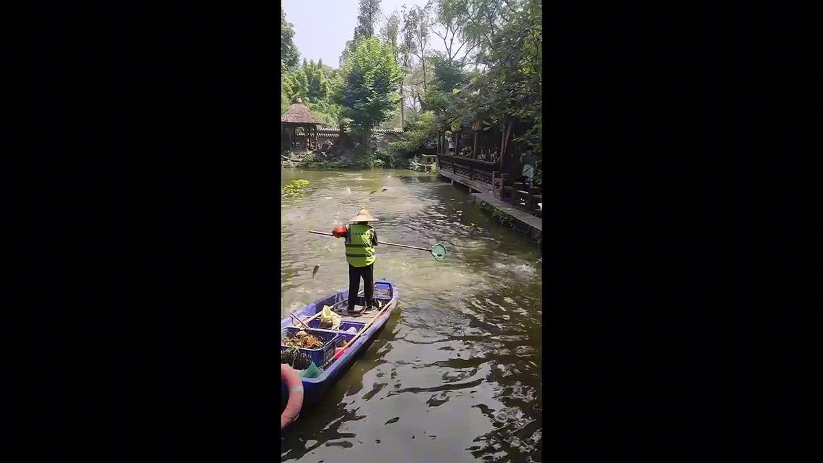 Kinh ngạc cảnh tượng đàn cá bất ngờ nhảy ào ào lên khỏi mặt nước Kinh ngac canh tuong dan ca bat ngo nhay ao ao len khoi mat nuoc