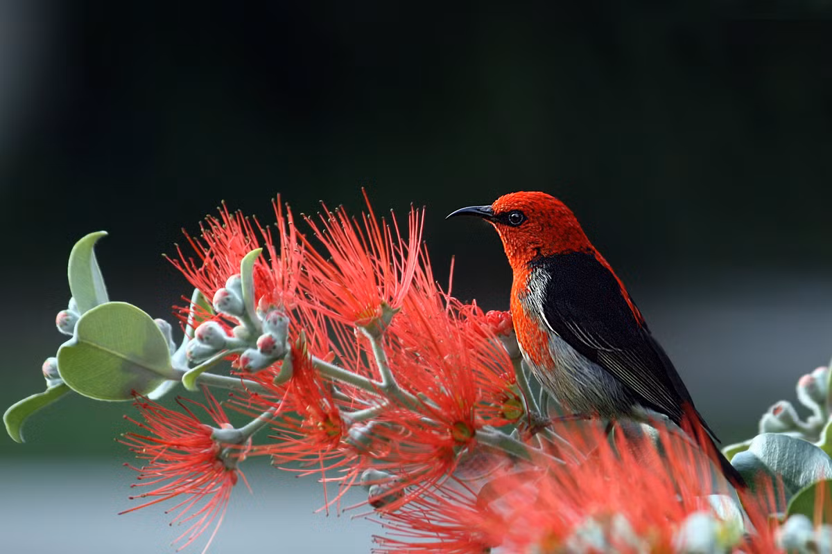 Nguoi sinh ngay Am lich nay thich mao hiem, khai pha nhieu thanh cong-Hinh-2