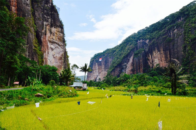  7. Harau: Thung lũng này tọa lạc ở thị trấn Payakumbuh, Indonesia. Harau là một hẻm núi tuyệt đẹp, được bao phủ bởi màu xanh của lúa và cây cối. Sự tĩnh lặng và không khí trong lành chính là điểm cộng thu hút khách du lịch của vùng đất này.