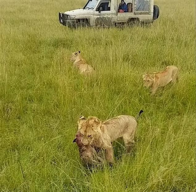 Su tu cai bi dan linh cau tan cong may man duoc bay giai cuu