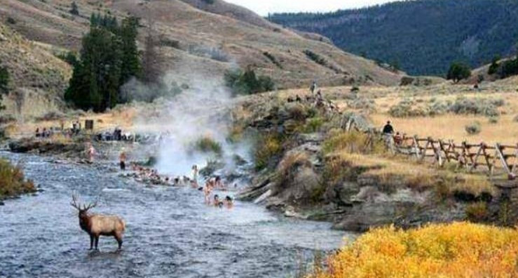 Bi an con song nong nhat the gioi soi suc trong rung Amazon-Hinh-2