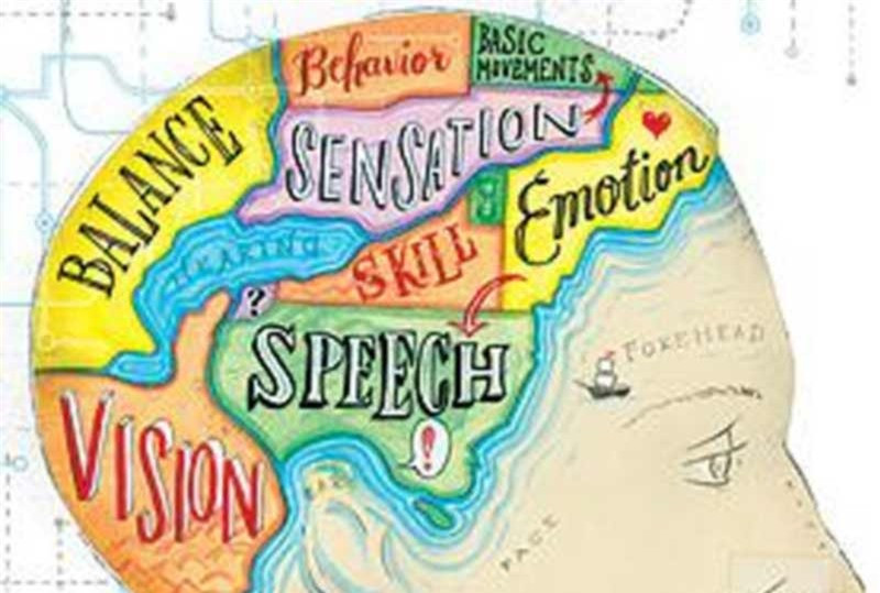 10 quan niem sai lam ve bo nao con nguoi-Hinh-3