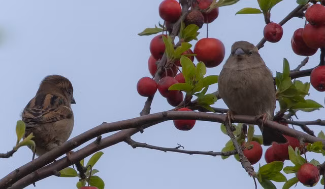 Ai co gio sinh nay yeu tien qua muc, kiem tien vuot bac, so menh giau sang-Hinh-4