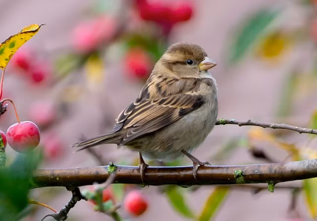 Ai co gio sinh nay yeu tien qua muc, kiem tien vuot bac, so menh giau sang-Hinh-3