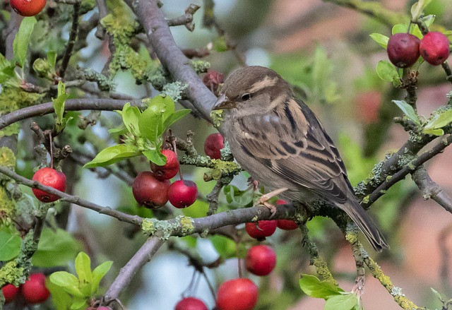 Ai co gio sinh nay yeu tien qua muc, kiem tien vuot bac, so menh giau sang-Hinh-2