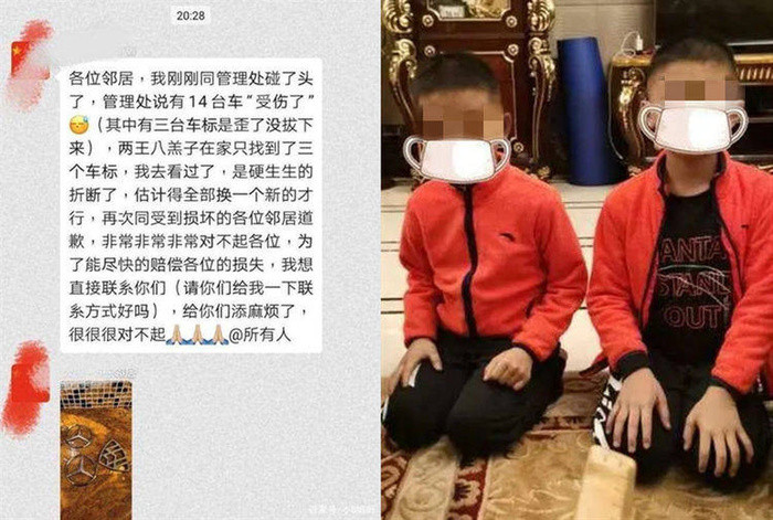 2 con trai 'be trui' loat logo tren xe sang, ong bo ung xu 'cuc ngot'-Hinh-3