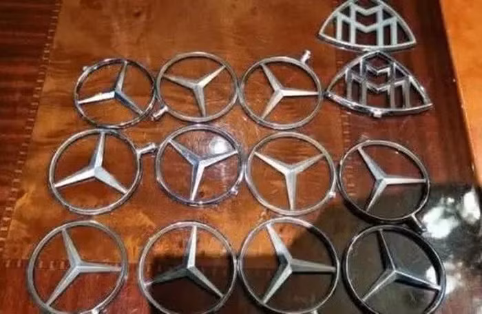 2 con trai 'be trui' loat logo tren xe sang, ong bo ung xu 'cuc ngot'-Hinh-4