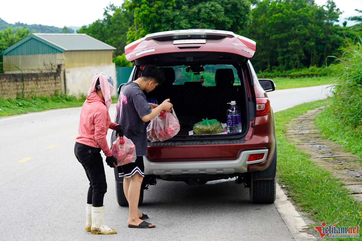 Trong thanh long ruot do, moi sang di bo quanh vuon co ngay tien trieu-Hinh-16