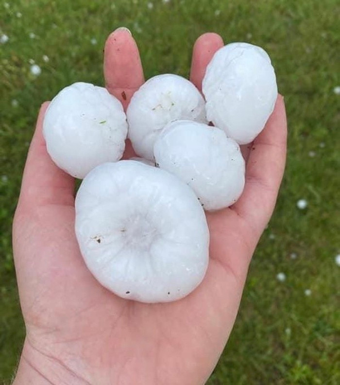 Mua da 'khong lo' o Phap-Hinh-4