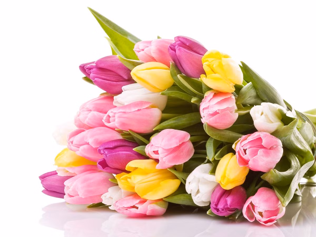 Tre sinh vao 5 ngay Am lich nay, phuc khi vay quanh, ve sau at thanh tai-Hinh-3