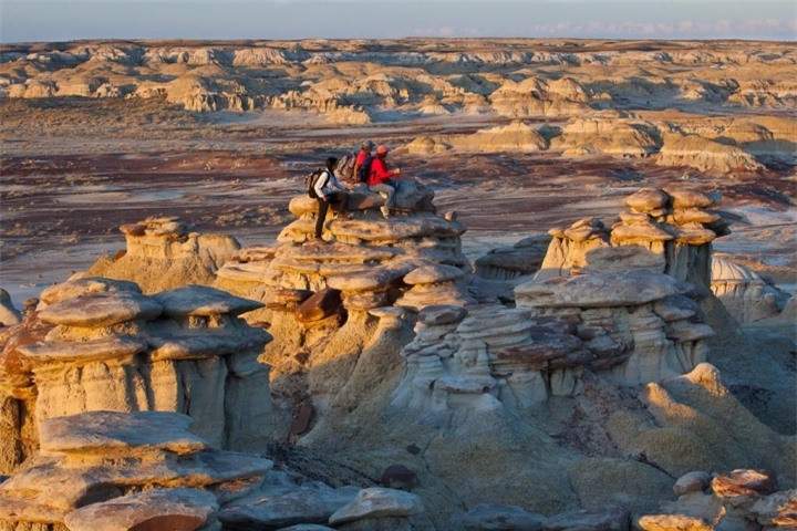 Vung dat cua nhung ‘cay nam da’ khong lo sieu thuc nhu o hanh tinh khac-Hinh-9
