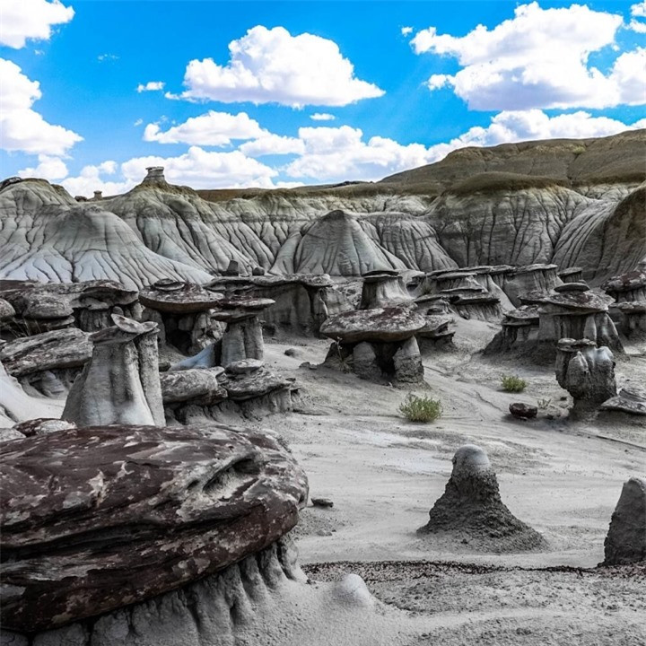 Vung dat cua nhung ‘cay nam da’ khong lo sieu thuc nhu o hanh tinh khac-Hinh-2