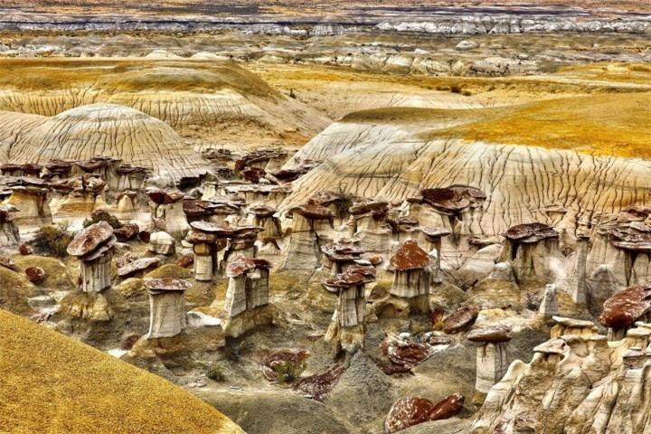 Vung dat cua nhung ‘cay nam da’ khong lo sieu thuc nhu o hanh tinh khac