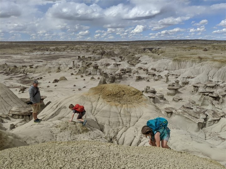 Vung dat cua nhung ‘cay nam da’ khong lo sieu thuc nhu o hanh tinh khac-Hinh-8