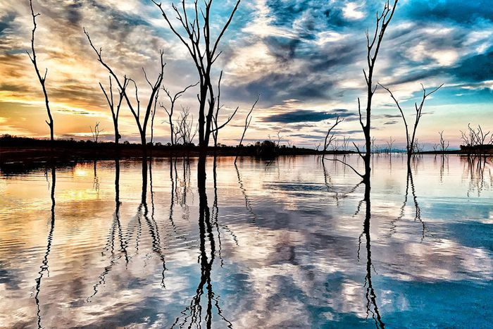2. Hồ Kariba, Zimbabwe. Là một trong những hồ chứa nhân tạo lớn nhất trên thế giới, Hồ Kariba được nổi tiếng bởi khung cảnh vừa mơ màng lại vừa lạnh lẽo của những những cây khô, đặc biệt hồ sẽ trở nên đẹp như tranh vẽ khi hoàng hôn xuống. Du khách ghé thăm hồ thì sẽ được chiêm ngưỡng các động vật hoang dã như voi, báo và sư tử tại Vườn Quốc gia Matusadona gần đó.