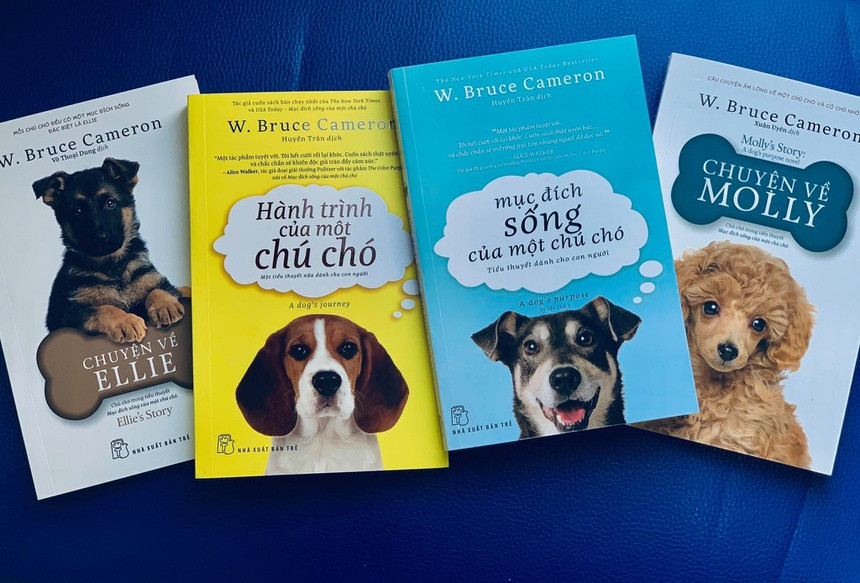 Tinh yeu voi nhung chu cho qua trang sach-Hinh-2