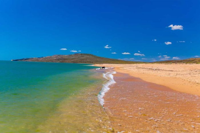 Nếu không có lực hấp dẫn của Mặt Trăng, thủy triều sẽ được điều khiển bởi Mặt Trời. Điều này nghĩa là thủy triều cao và thấp sẽ diễn ra vào cùng một thời điểm mỗi ngày.