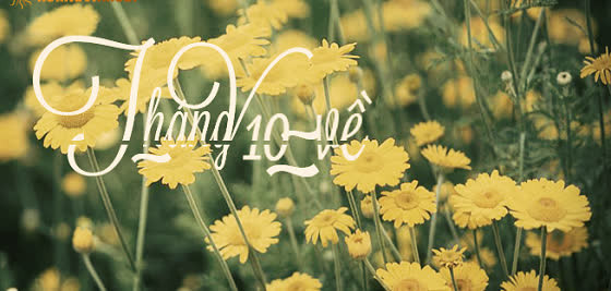 Tháng 10 âm. Người sinh tháng 10 âm sẽ gặt hái được nhiều thành tích cao, được cấp trên ghi nhân và tạo cơ hội cho bạn tiếp tục thể hiện khả năng của mình. Khi được giao cho những nhiệm vụ mang đầy tính thách thức, bạn hãy mạnh dạn chấp nhận và cố gắng hết sức, bạn sẽ phát hiện thêm được nhiều điểm mạnh của mình. 