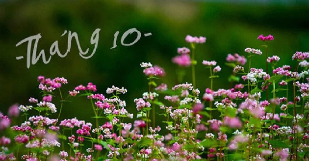 Quan hệ xã giao hài hòa cũng giúp bạn vô tình gặp được hoặc được người thân quen giới thiệu cho các đối tượng triển vọng. Nếu có thiện cảm với đối phương, bạn có thể nhanh chóng tìm cách giữ quan hệ với người ấy. *Thông tin mang tính tham khảo, chiêm nghiệm. 