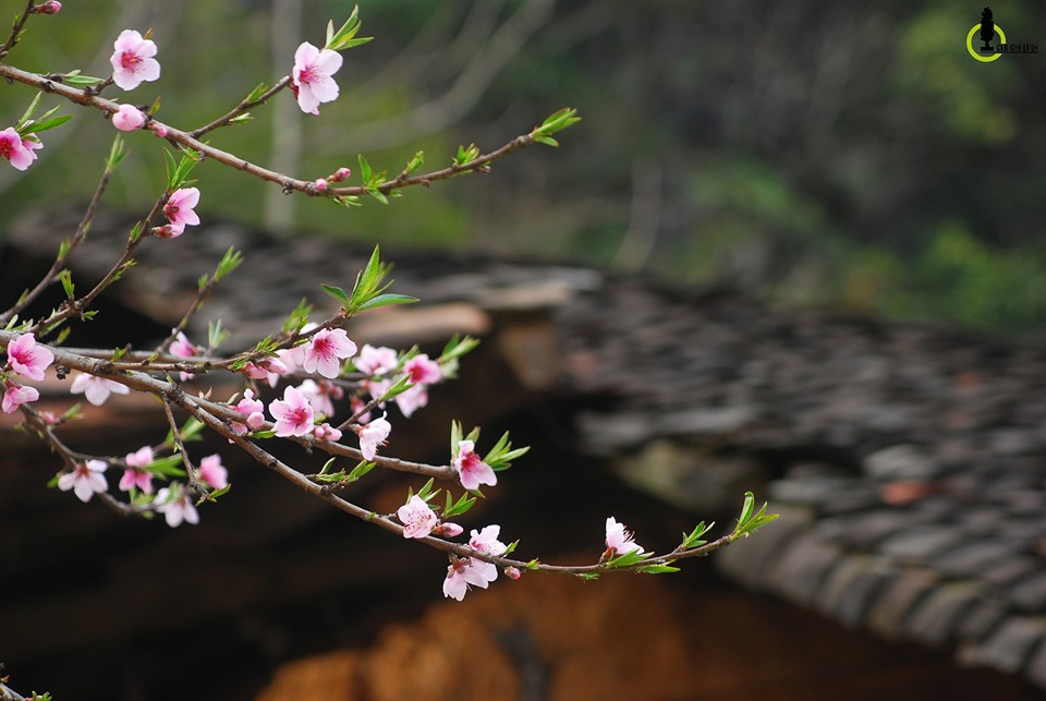 Trong chuyện tình cảm, những con giáp sinh tháng 1 âm nhờ tự tin và cởi mở hơn với mọi người xung quanh, để nhiều người thấy được ưu điểm của mình, vì thế sẽ có rất nhiều người tỏ ý muốn kéo gần khoảng cách với bạn đấy.
