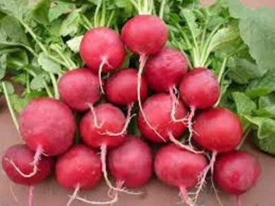 Củ cải đường Củ cải đường là thực phẩm tuyệt vời cho sức khỏe não bộ và cũng là một món ăn ưa thích của nhiều chị em phụ nữ.