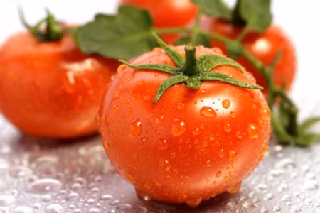 Cà chua Cà chua chứa lượng vitamin C dồi dào, là một trong những vitamin quan trọng và cần thiết cho cơ thể chúng ta đặc biệt là não bộ.