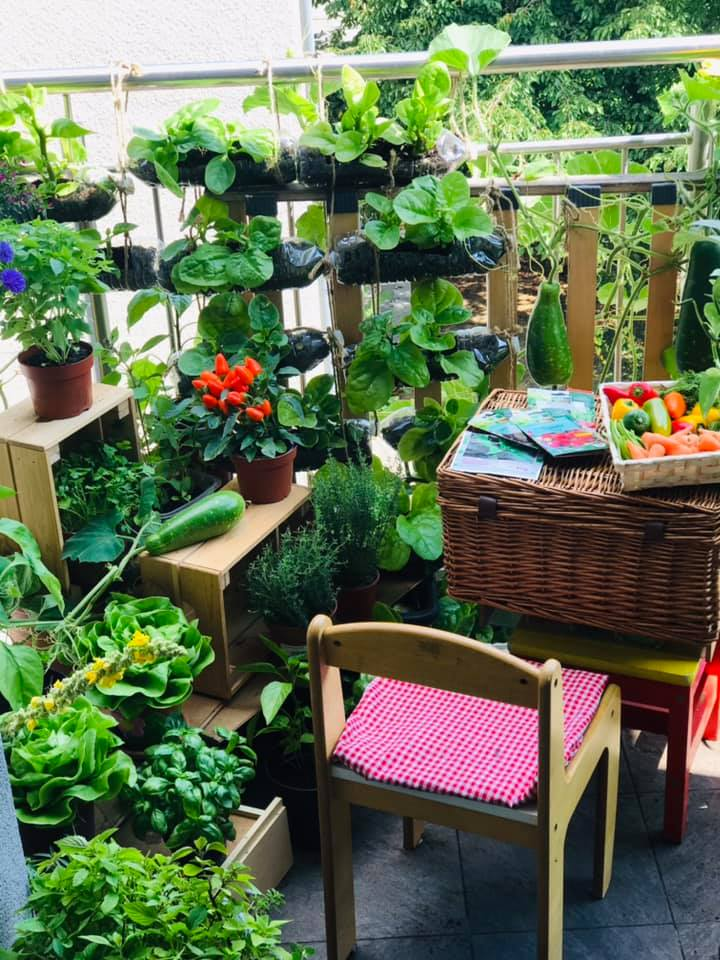 Vuon rau tuoi tot tren ban cong nho xiu 2,5m2 cua me Viet tai Phap-Hinh-4