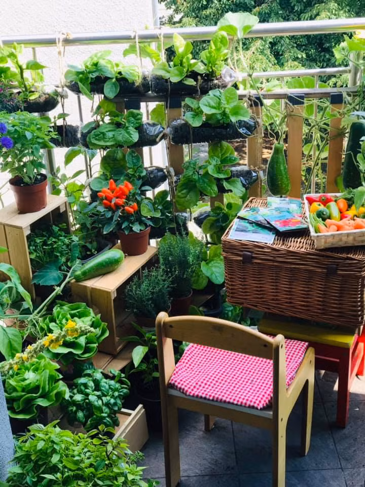Vuon rau tuoi tot tren ban cong nho xiu 2,5m2 cua me Viet tai Phap-Hinh-4