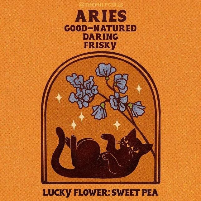 Net cuon hut 'doc quyen' 12 cung hoang dao