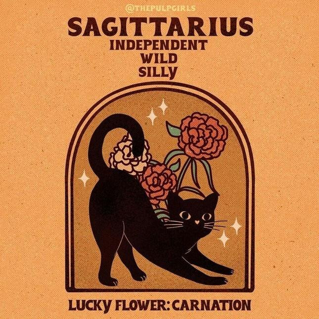 Net cuon hut 'doc quyen' 12 cung hoang dao-Hinh-9