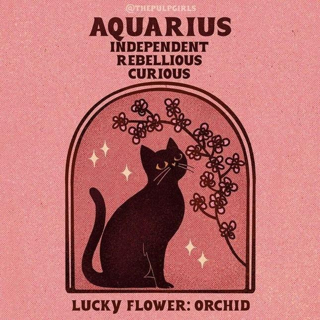 Net cuon hut 'doc quyen' 12 cung hoang dao-Hinh-11