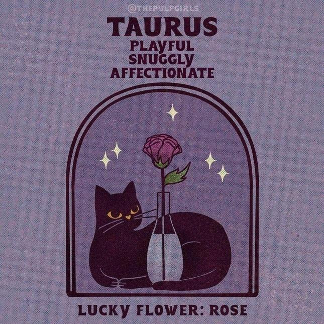 Net cuon hut 'doc quyen' 12 cung hoang dao-Hinh-2