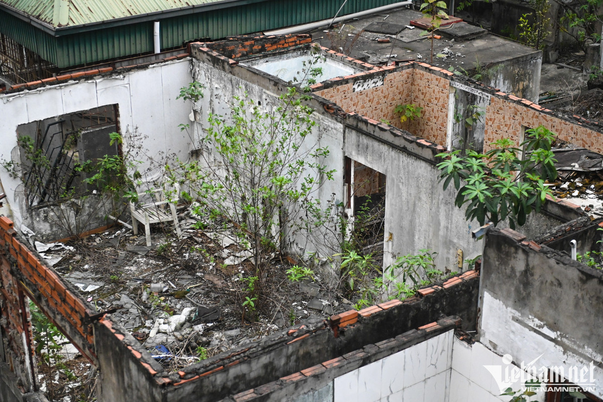 Khu tap the tan hoang nhieu nam tren 'dat vang' Ha Noi-Hinh-8
