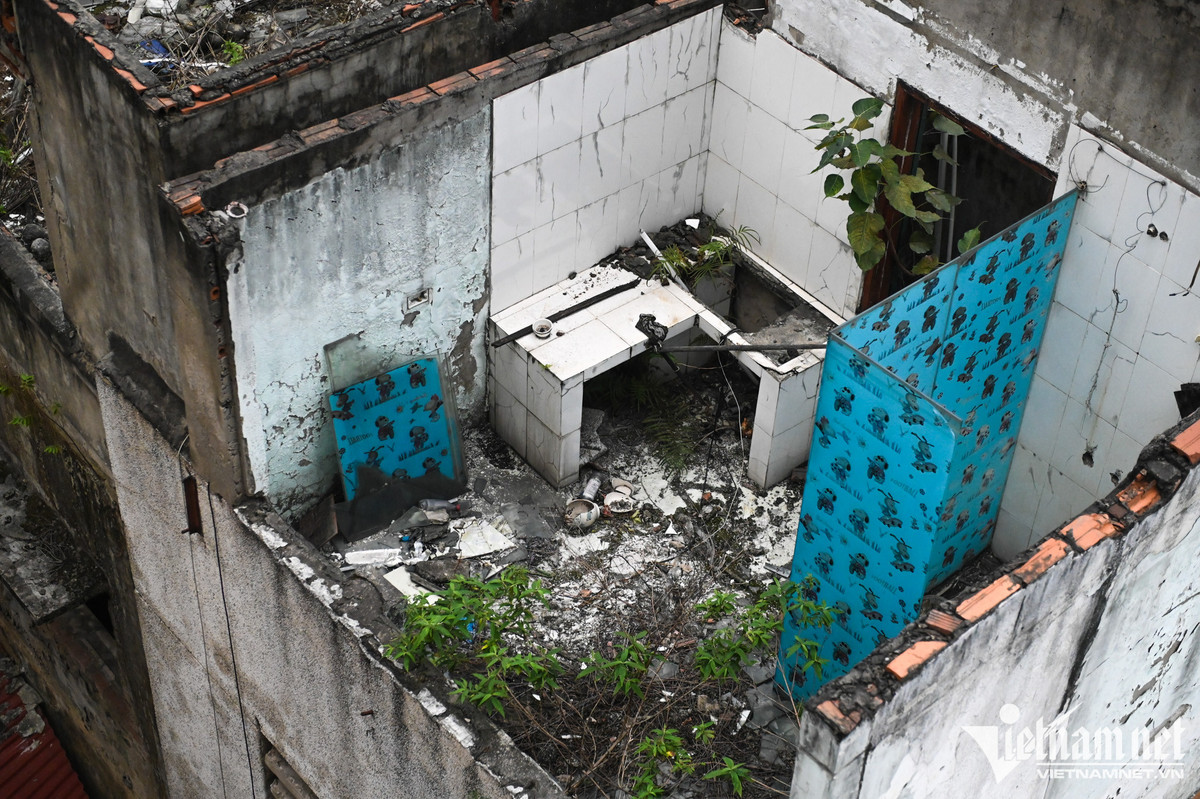 Khu tap the tan hoang nhieu nam tren 'dat vang' Ha Noi-Hinh-4