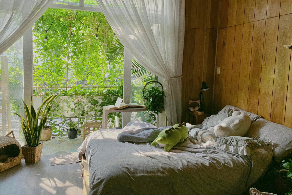 Khong o lau van dau tu cai tao nha thue-Hinh-5