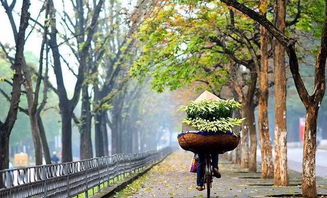 Bước sang tháng 4, 4 con giáp được đề cập đến hôm nay đón mọi sự hanh thông, trạng thái tinh thần đặc biệt tốt, gia đình có nhiều tin vui mới, giúp họ có cơ hội tăng thêm thu nhập và tràn đầy năng lượng để bước tới thành công.