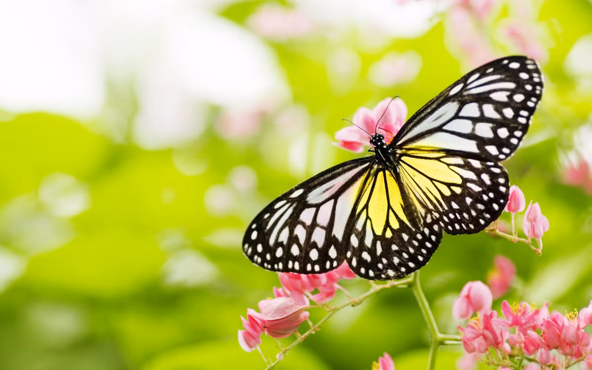 Thang 3, 3 con giap don phan thuong quy gia-Hinh-2