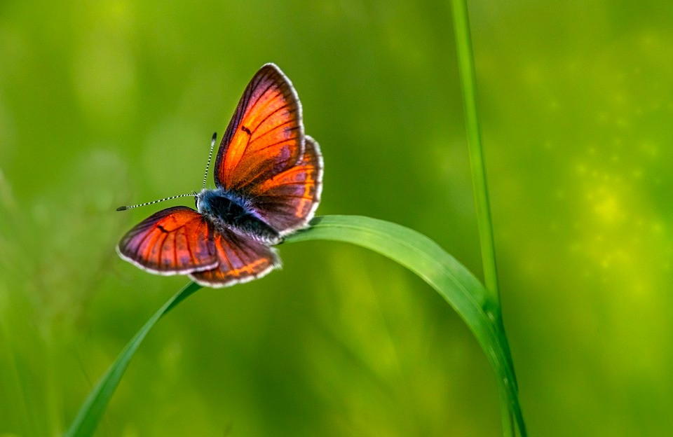 Nguoi sinh thang Am lich nay gioi chiu dung, giau sang tao