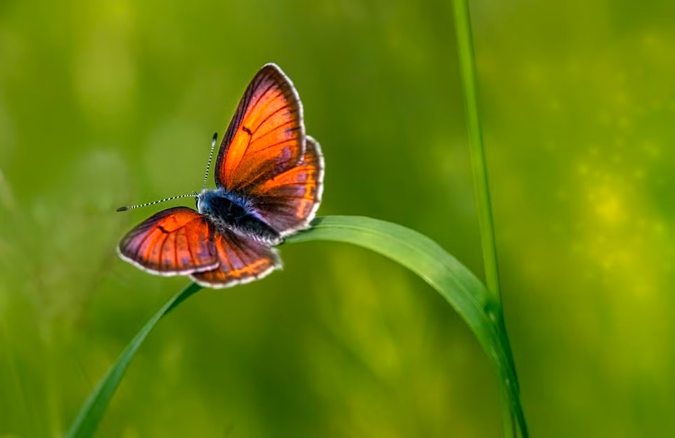 Nguoi sinh thang Am lich nay gioi chiu dung, giau sang tao