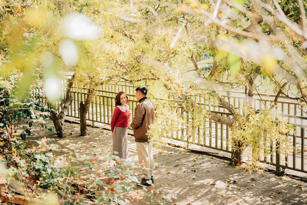 Mua hoa bo vang ruc nang-Hinh-4