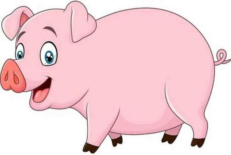 Top 4 con giap nhin xa trong rong, su nghiep ben vung, huy hoang-Hinh-4