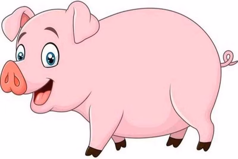 Top 4 con giap nhin xa trong rong, su nghiep ben vung, huy hoang-Hinh-4