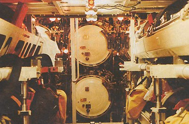 Tàu ngầm Dolphin có thể bắn ngư lôi dẫn hướng âm thanh thụ động DM2A3 tầm bắn 28km mang theo đầu đạn nặng 226kg. Ngoài ra tàu ngầm này còn có thể bắn tên lửa chống hạm UGM-84 Harpoon tầm bắn 130km. Có thông tin cho rằng, tàu ngầm Dolphin 2 có thể bắn tên lửa hành trình tấn công mặt đất tầm bắn 1.500km.