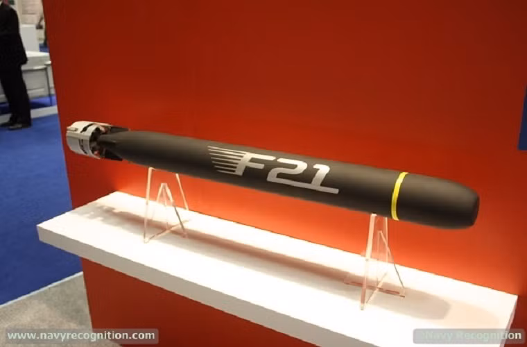 Ngư lôi hạng nặng cỡ 533mm F21 có trọng lượng 1,3 tấn được trang bị đầu dò âm thanh dưới nước thế hệ mới của Thales, giúp nó có thể dễ dàng xác định các mục tiêu. F21 có thể hoạt động ở độ sâu từ 10-500m và trang bị hệ thống động cơ đẩy sử dụng pin nhiên liệu và chất oxy hóa. Nó đạt tốc độ từ 25 hải lý/giờ đến 50 hải lý/giờ, tầm bắn lên tới 50km.