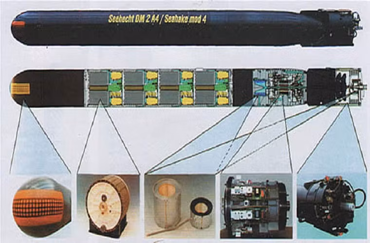 Ngư lôi cỡ 533mm DM2A4 có trọng lượng gần 1,4 tấn, lắp đầu đạn nặng 255kg đủ sức phá hủy bất kỳ mục tiêu nào trên biển. Nó được trang bị một động cơ đẩy nam châm vĩnh cửu cùng với pin nhiêu liệu giúp đạt tốc độ tối đa 50 hải lý/giờ, tầm bắn 50km.