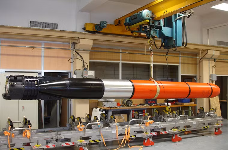 Mẫu ngư lôi nguy hiểm bậc nhất thế giới tiếp theo là F21 do hãng DCNS Pháp phát triển nhằm thay thế cho loại F17 trên các tàu ngầm hạt nhân chiến lược - tấn công và tàu ngầm phi hạt nhân của Hải quân Pháp.